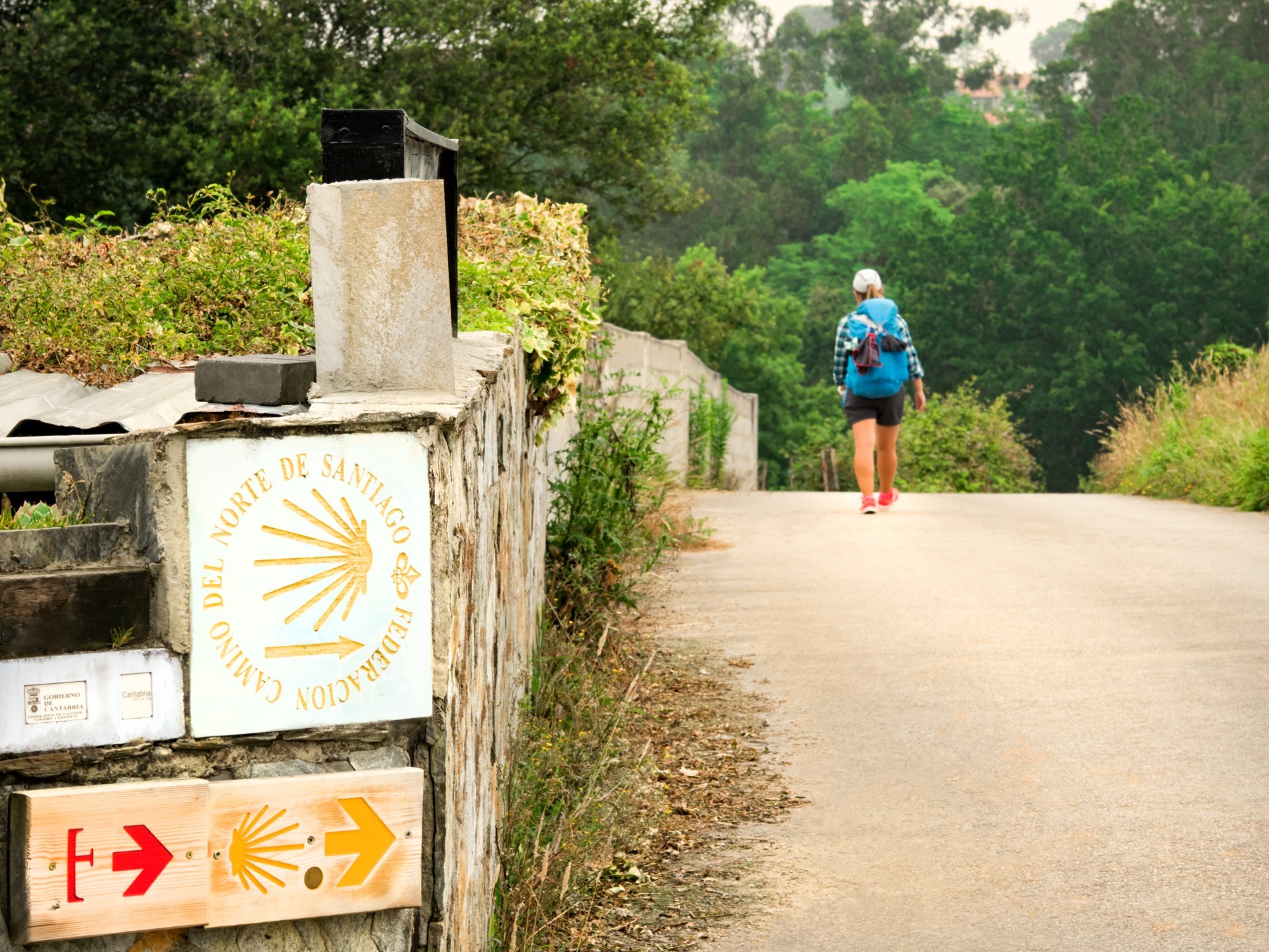 Camino de Santiago 1