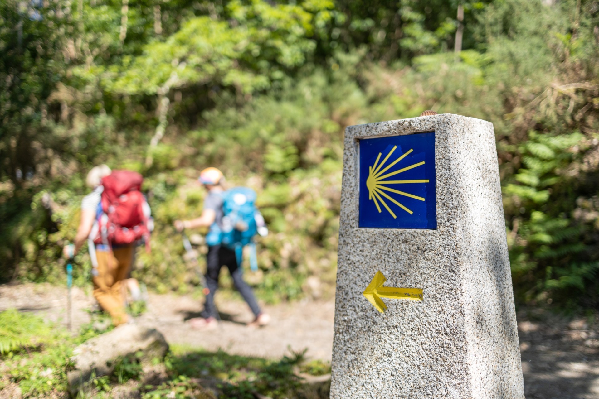 Camino de Santiago 2
