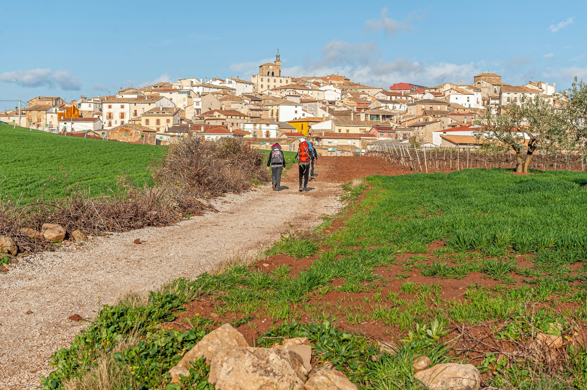 La Peregrina: The Song About a Priest Falling in Love With a Pilgrim